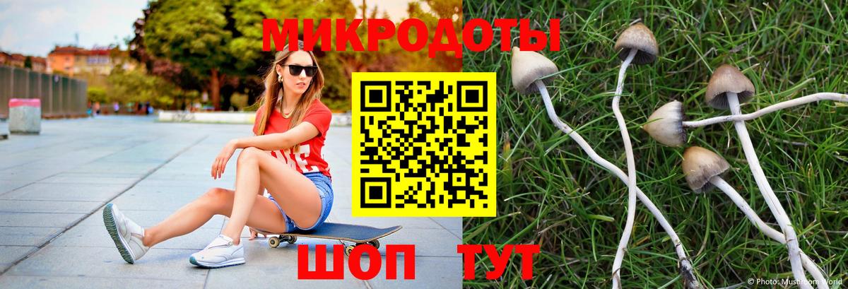 Галлюциногенные грибы Cubensis Томск