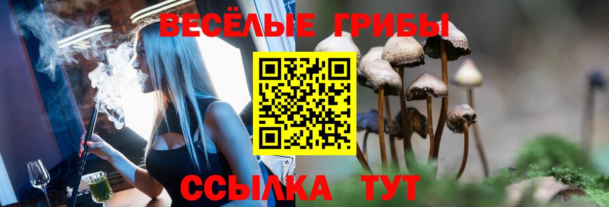 Псилоцибиновые грибы Psilocybe  Вход с VPN  Томск 
